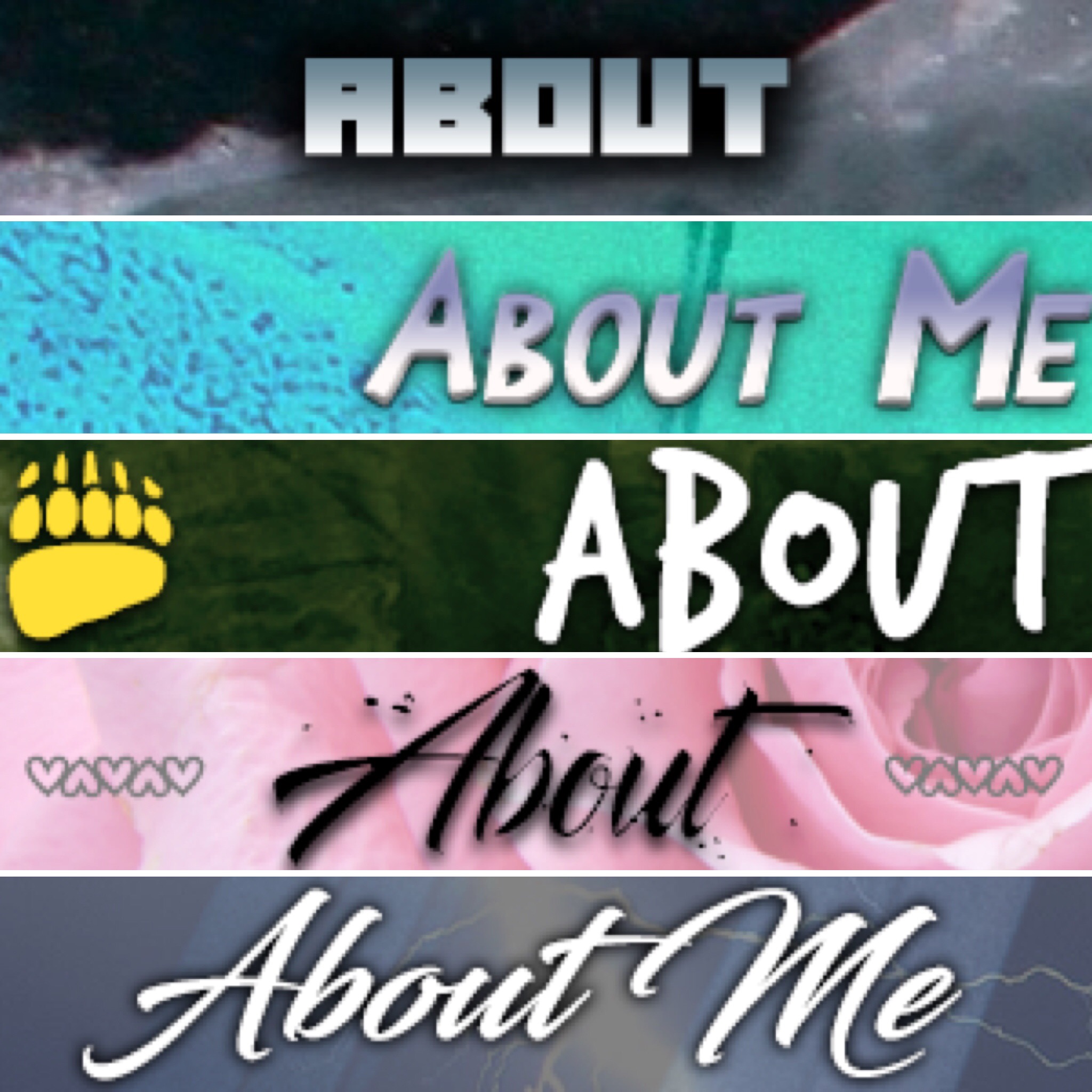 853C5226-4513-4B5D-879B-734C4A14840A